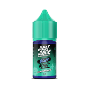 Blue Mint DIY E Liquid Flavour Concentrate